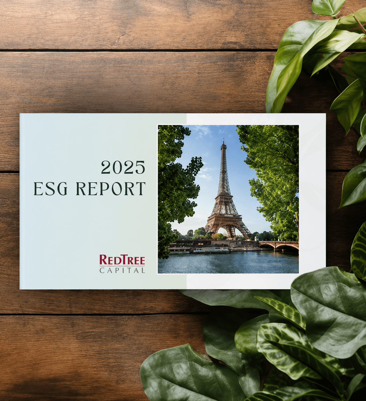 Rapport Image